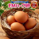 【ふるさと納税】EMハーブ卵 <選べる> 20個(内割れ保証2個)or 50個(内割れ保証5個) 卵 タマゴ たまご 玉子 生卵 鶏卵 イヨエッグ 愛媛県 送料...