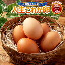 【ふるさと納税】人生これか卵 <選べる> 20個(内割れ保証2個)or 50個(内割れ保証5個) 卵 タマゴ たまご 玉子 生卵 鶏卵 イヨエッグ 愛媛県 送料...