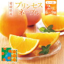 【ふるさと納税】愛媛県産 プリンセスネーブル L〜2Lサイズ 約2kg 6〜9個 ネーブル オレンジ 柑橘 果物 くだもの フルーツ おやつ デザート 国産 愛...