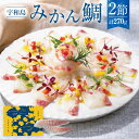 【ふるさと納税】宇和島みかん鯛 2節 計約270g みかん鯛 真鯛 マダイ タイ 鯛 骨なし 魚 魚介 真空包装 冷凍 国産 愛媛県産 愛媛県 送料無料 (87...