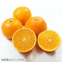 【ふるさと納税】愛果 愛媛果試28号 4L〜L 約5kg みかん 蜜柑 果物 フルーツ 柑橘 デザート おやつ お取り寄せ 国産 愛媛県 送料無料【2025年1...