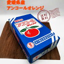 【ふるさと納税】アンコールオレンジ 3L〜L 約4kg 柑橘類 柑橘 オレンジ 国産 みかん ミカン 果物 フルーツ くだもの 愛媛県 送料無料【2026年3月...