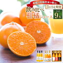 【ふるさと納税】【3ヵ月連続定期便】愛媛の柑橘農家が贈る!飲み比べ 柑橘 ジュース 3種×3回 計9本 みかん 蜜柑 ミカン せとか ひょうかん 柑橘 果汁10...