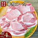 【ふるさと納税】【選べる容量】豚肉 ロース 1パック約2枚〈選べる〉1kg / 1.5kg / 2kg / 3kg / 4kg 小分け 2パック 3パック 4パ...