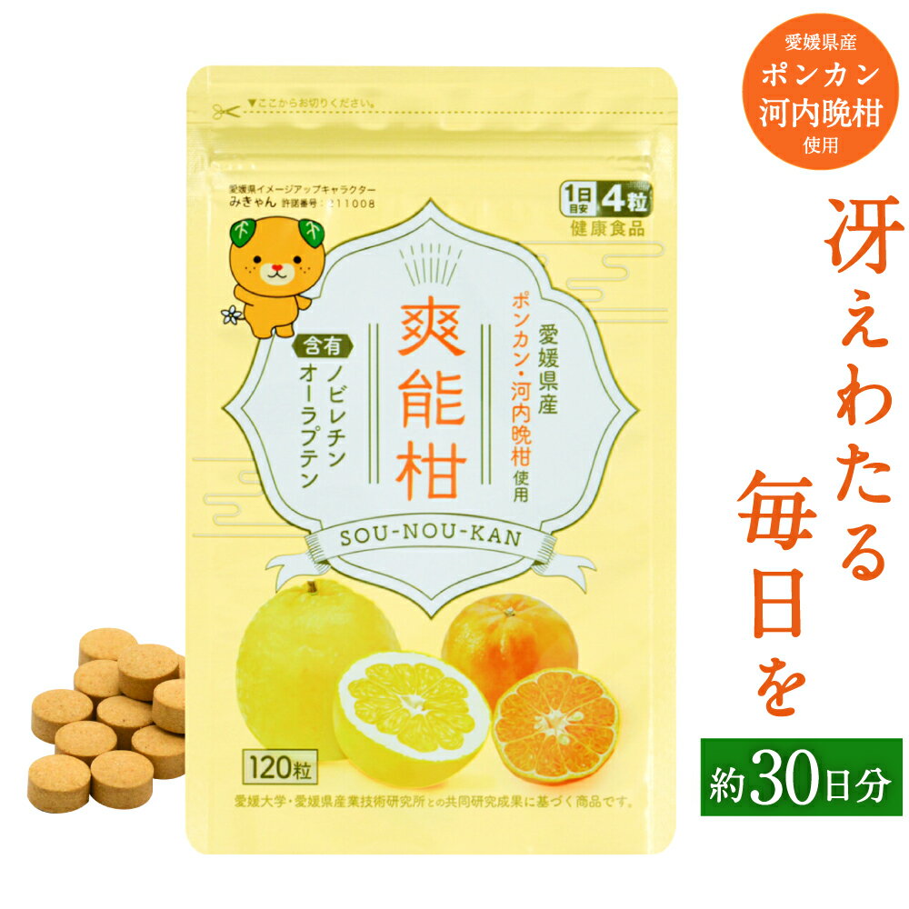 【ふるさと納税】健康食品 爽能柑 そうのうかん 120粒 約30日分 サプリ サプリメント ノビレチン オーラプテン 国産 日本製 愛媛県産 ポンカン 河内晩柑 使用 送料無料 (49)