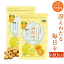 【ふるさと納税】健康食品 爽能柑 そうのうかん 120粒