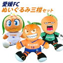【ふるさと納税】愛媛FC ぬいぐるみ 三柑セット オ〜レくん たま媛ちゃん 伊予柑太 各1体 計3体 ポリエステル プロサッカーチーム マスコットキャラクター ...