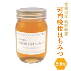 【ふるさと納税】河内晩柑 はちみつ 500g 愛南町産 純粋蜂蜜 ハチミツ 蜜 瓶 国産 常温 柑橘 愛媛県 送料無料 (329) 【えひめの町（超）推し！（愛南町）】