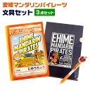 【ふるさと納税】愛媛マンダリンパイレーツ 文具 3点セット 自由帳 ボールペン クリアファイル 文房具 球団 野球 プロ野球 グッズ 愛媛県 四国アイランドリー...