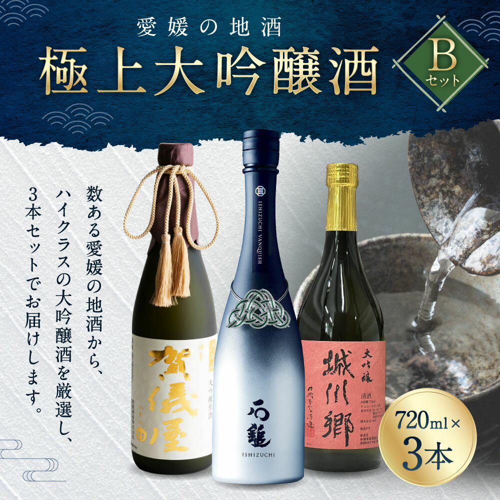 【ふるさと納税】極上大吟醸酒 Bセット 720ml×3本 飲み比べ 飲みくらべ 日本酒 大吟醸 お酒 酒 さけ 地酒 高級 ハイクラス 送料無料 (72) 2