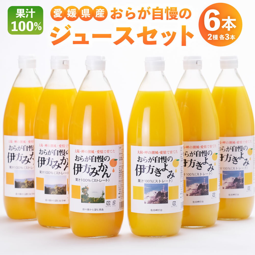 愛媛県産 おらが自慢のジュースセット 1L×6本 (みかん3本・きよみ3本) ストレート 果汁100％ 無添加 無着色 ドリンク 飲料 ジュース フルーツ 果物 みかん 送料無料 (286) 【えひめの町（超）推し！（伊方町）】