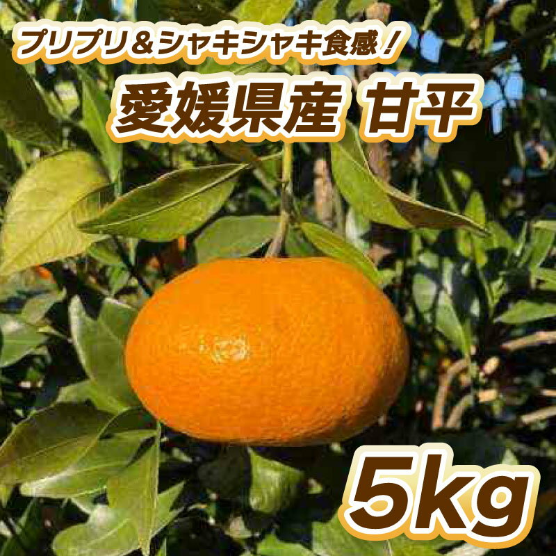 [松山市ふるさと納税] [先行予約]プリプリ シャキシャキ食感 甘平 5kg [2月中旬〜3月中旬発送] 柑橘 果物 フルーツ みかん 甘平 松山市 愛媛県