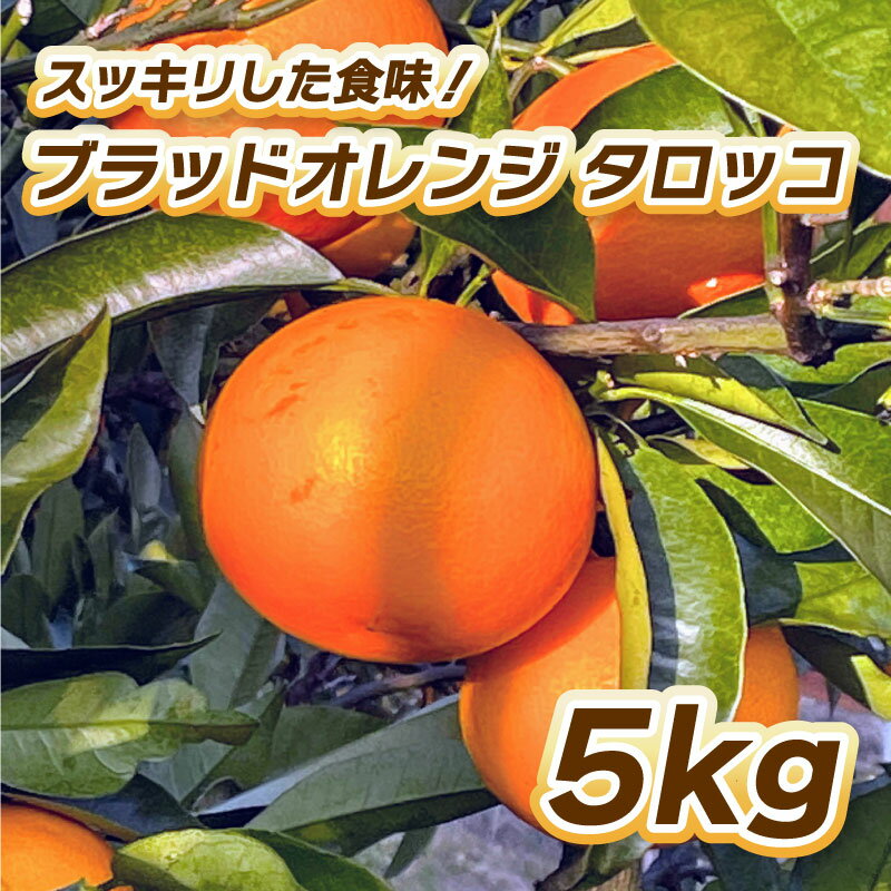 [松山市ふるさと納税] [先行予約]ブラッドオレンジ タロッコ 5kg [2月中旬〜3月中旬発送] 柑橘 果物 フルーツ オレンジ みかん 松山市 愛媛県