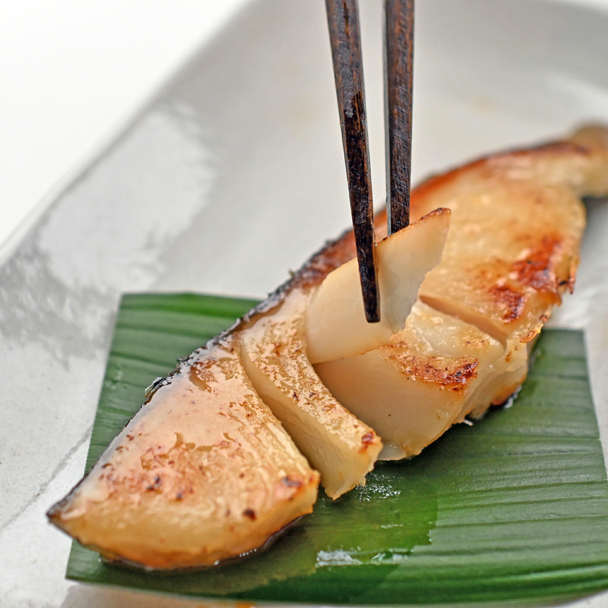 愛媛県松山市の画像2