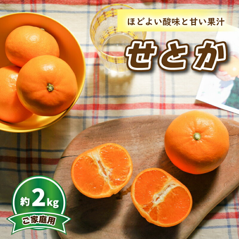 【3月中旬から発送】 せとか (家庭用) 約2kg | 予約販売 みかん 柑橘 せとか 早期予約 蜜柑 みかん 愛媛県 松山市