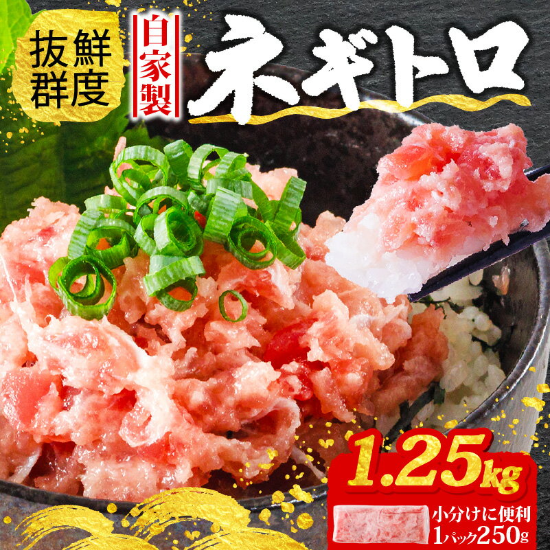 ネギトロ 計 1.25kg 250g × 5パック まぐろ 鮪 まぐろたたき キハダマグロ バチマグロ 小分け 個包装 魚 さかな 魚介 海鮮 新鮮 手巻き 寿司 すし 丼 ご飯 ごはん 冷凍 お取り寄せ グルメ 人気 おすすめ 愛媛県 松山市