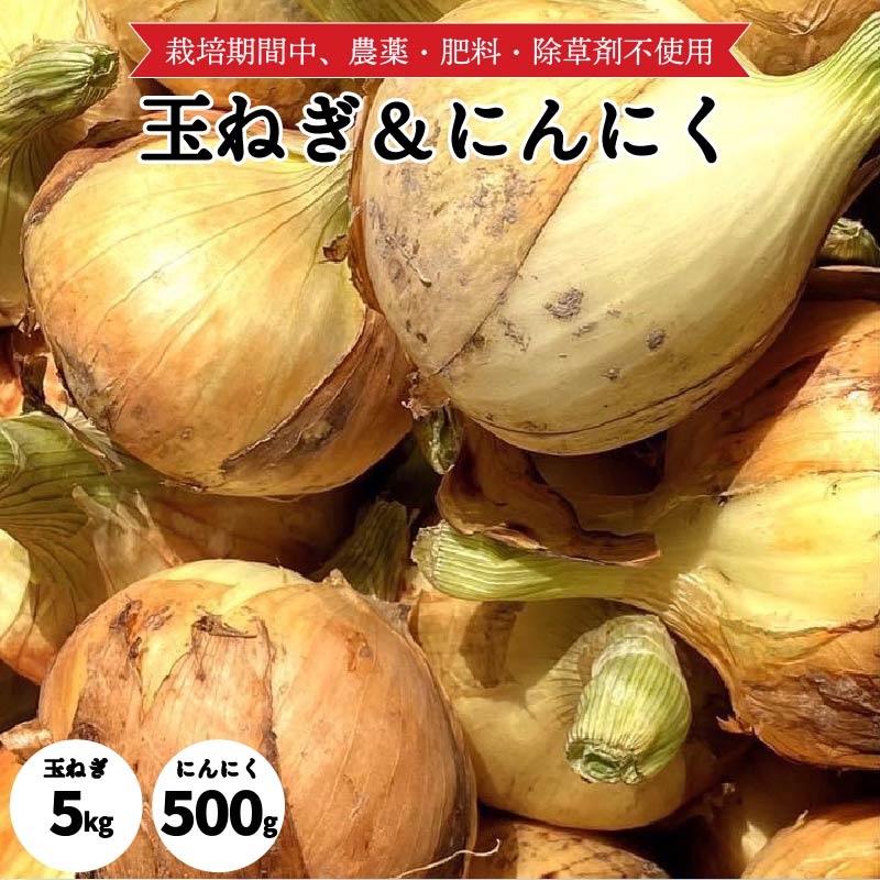 自然栽培 玉ねぎ 5kg & にんにく 500g |産地直送 国産 玉ねぎ にんにく ご当地 愛媛県 松山市