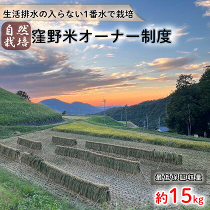 自然栽培米 "窪野米" オーナー制度｜産地直送 国産 白米 ブランド米 ご当地 愛媛県 松山市