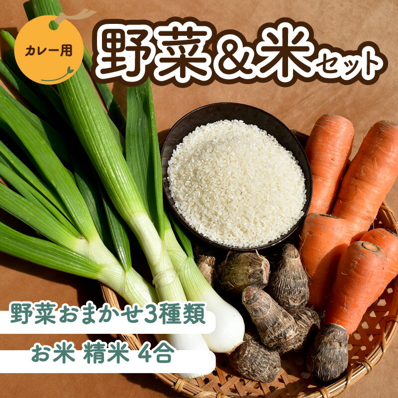 [先行予約] 野菜 米 セット カレー用 農薬不使用 自然栽培 | お米 野菜 里芋 玉ねぎ 人参 さつまいも 農薬 不使用 カレー カレーライス 期間限定 愛媛県 松山市