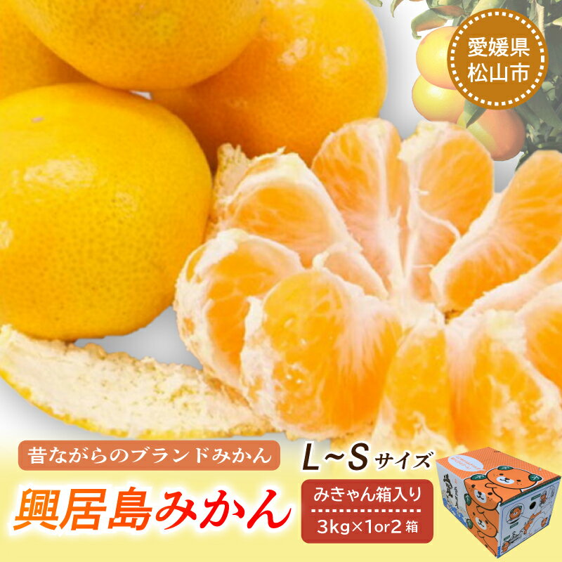 [先行予約][2025年11月下旬頃より順次発送]興居島みかん 3kg or 6kg(L〜Sサイズ) みかん 柑橘 興居島 ごごしま ブランド 愛媛県 松山市