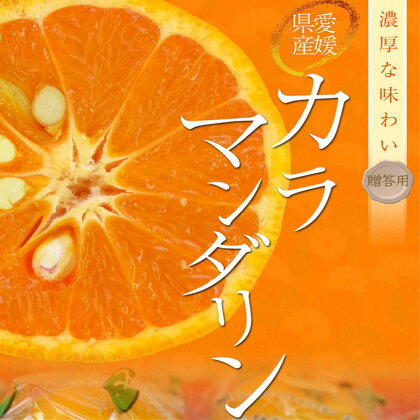 【先行予約】 カラマンダリン 愛媛県産 みきゃん箱 12玉 or 15玉 柑橘 みかん 贈答 可愛い 愛媛県 松山市