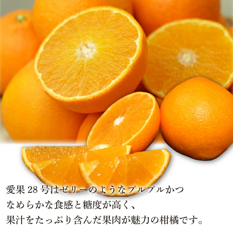 愛媛県松山市の画像2