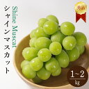 【ふるさと納税】 【先行予約】【2025年8月下旬~9月中旬順次発送】 シャインマスカット 1kg または 2kg 秀品 シャインマスカット マスカット ますかっと ぶどう ブドウ 葡萄 種無し 果物 くだもの フルーツ 旬 期間限定 愛媛県 松山市