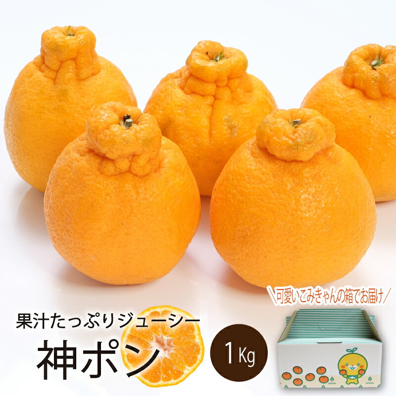 レディースストレッチワイドパンツ | 激安靴の通販 ヒラキ公式サイト