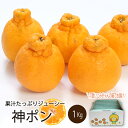 【ふるさと納税】 【先行予約】【2026年3月中旬~5月中旬頃順次発送】 神ポン(デコポンと同品種) 1kg| 神ポン デコポン 不知火 柑橘 取り寄せ ミカン みかん mikan 蜜柑 フルーツ 果物 くだもの お取り寄せ 産地直送 数量限定 人気 おすすめ 送料無料 愛媛県 松山市