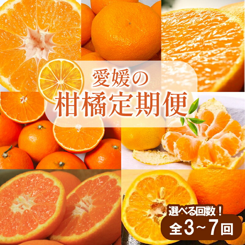 【ふるさと納税】 【先行予約】【全3~7回】 柑橘定期便| 興居島みかん あいか はれひめ いよかん温州 温州みかん 愛果 愛果28号 紅まどんな 同品種 伊予柑 せとか カラマンダリン 不知火 定期便 ミカン みかん フルーツ 人気 おすすめ 送料無料 贈答 ギフト 愛媛県 松山市