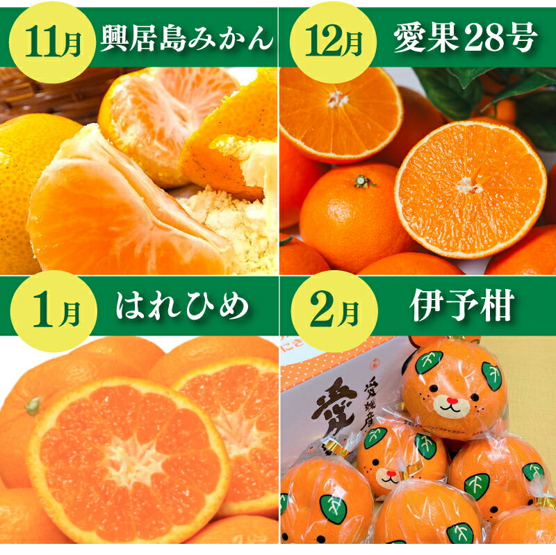 【ふるさと納税】 【先行予約】【全3～7回】 柑橘定期便｜ 興居島みかん あいか はれひめ いよかん温州 温州みかん 愛果 愛果28号 紅まどんな 同品種 伊予柑 せとか カラマンダリン 不知火 定期便 ミカン みかん フルーツ 人気 おすすめ 送料無料 贈答 ギフト 愛媛県 松山市