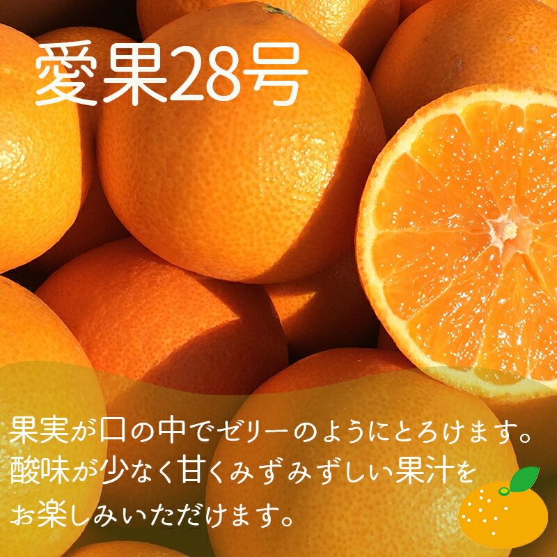 【ふるさと納税】 【2025年12月上旬から発送】【定期便 全3回】旬の愛媛三大高級柑橘 家庭用 【愛果28号 せとか 甘平】約2.5kg | 柑橘 みかん 果物 あいか 紅まどんな と同品種 くだもの フルーツ おすすめ 高級 人気 お取り寄せ 期間限定 数量限定 ご当地 愛媛県 松山市