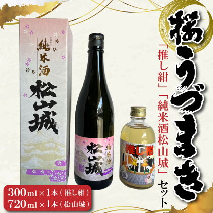 「推し柑」「純米酒松山城」セット