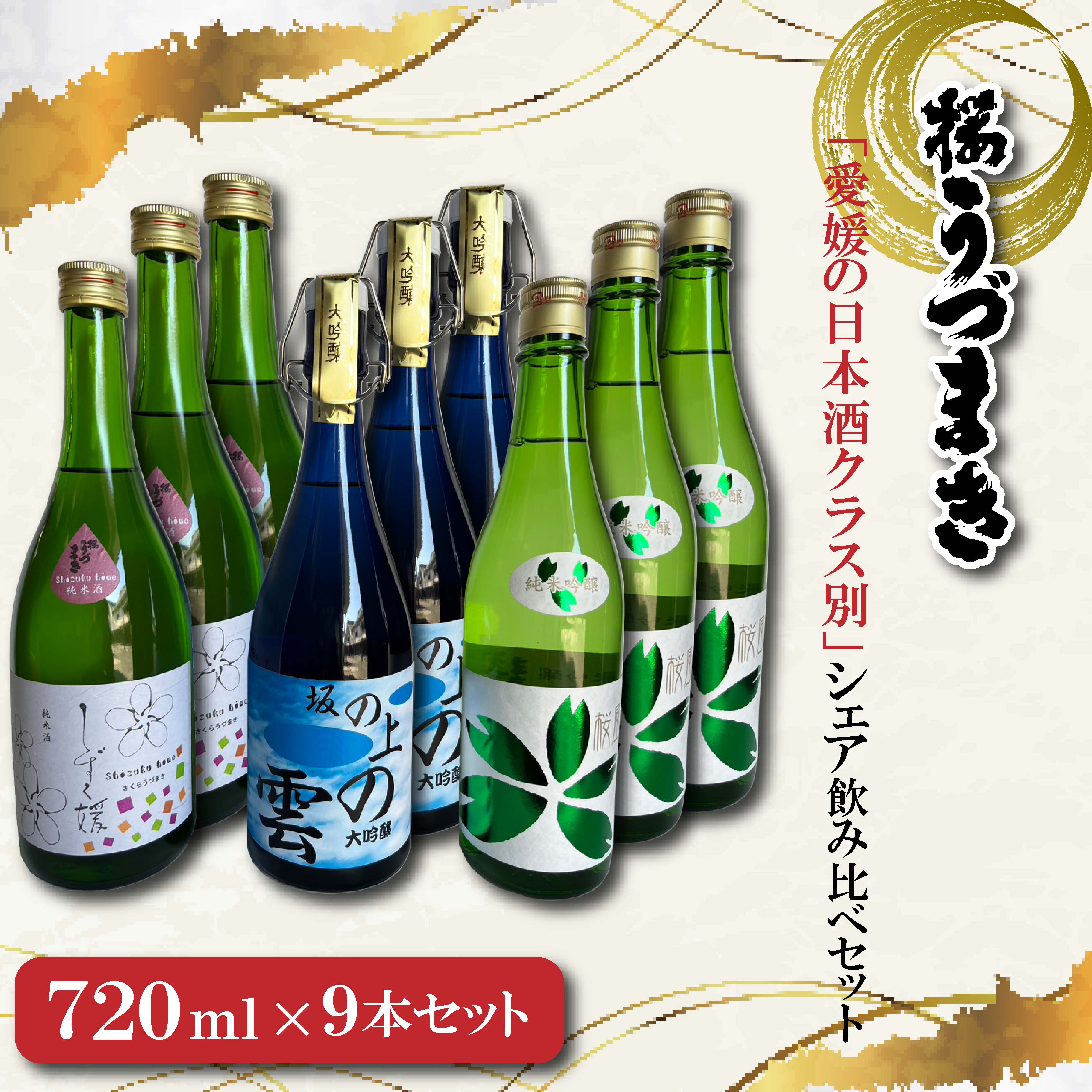 【ふるさと納税】 愛媛の日本酒クラス別・シェア飲み比べセット