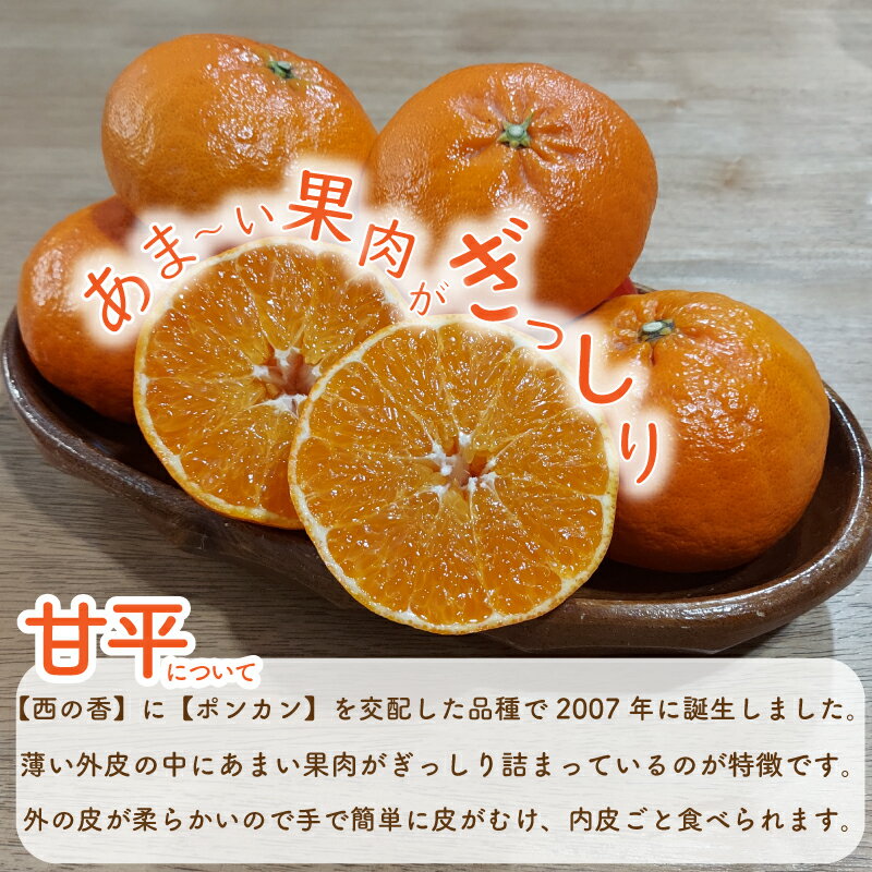 【ふるさと納税】【愛媛県産 】高級 みかん 甘平 選べる 訳あり / 訳なし ＜2025年1月下旬～発送予定＞ 訳あり 柑橘 みかん 果物 くだもの フルーツ おすすめ 高級 人気 お取り寄せ グルメ ギフト 期間限定 数量限定 ご当地 たかぎ果樹園 愛媛県 松山市