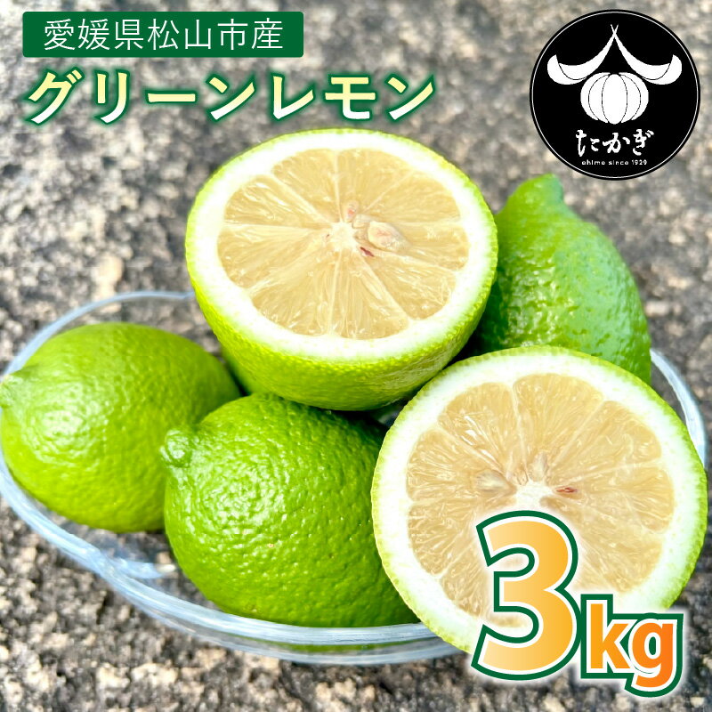 [愛媛県産] グリーンレモン 約3kg 柑橘 みかん 果物 くだもの フルーツ おすすめ 人気 お取り寄せ グルメ ギフト 期間限定 数量限定 ご当地 愛媛県 松山市 たかぎ果樹園