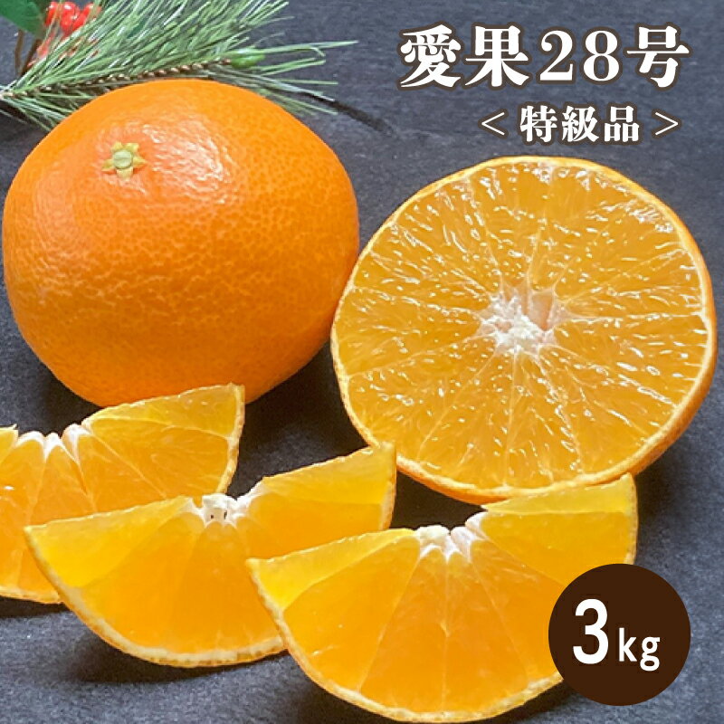 【ふるさと納税】 【12月より発送】 特級品 愛果28号 3kg | みかん 柑橘 愛果28号 みかん あいか 果物...