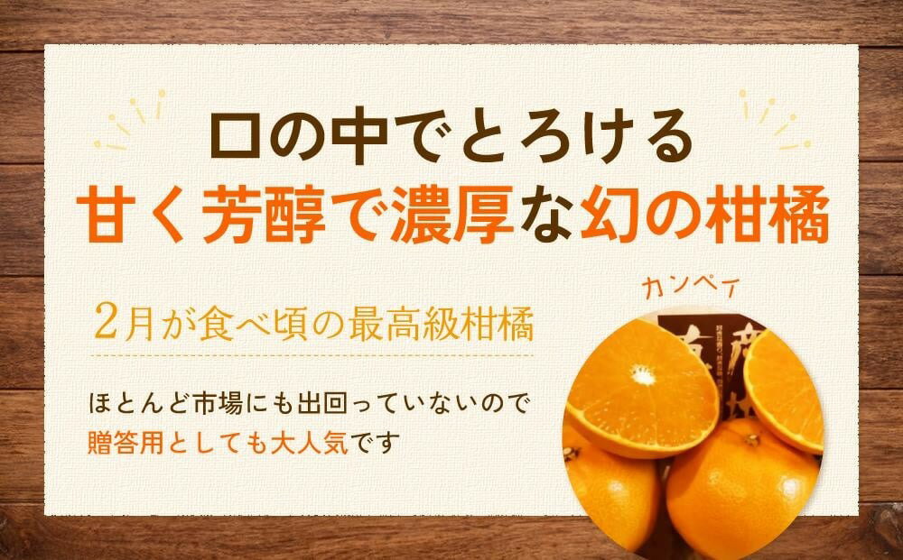 【ふるさと納税】 【2026年2月上旬より順次発送】 先行予約 特級品 カンペイ 甘平 3kg みかん 柑橘 果物 フルーツ 松山市 愛媛県 家庭用 みかん 柑橘 果物 フルーツ 松山市 愛媛県