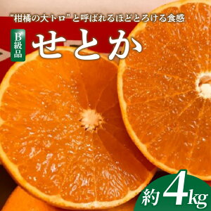 【ふるさと納税】 【2026年2月下旬より発送】 せとか 4kg 【B級品】 | みかん 愛媛 先行予約 柑橘 果物 くだもの フルーツ お楽しみ お取り寄せ グルメ 期間限定 数量限定 人気 おすすめ ギフト 愛媛県 松山市
