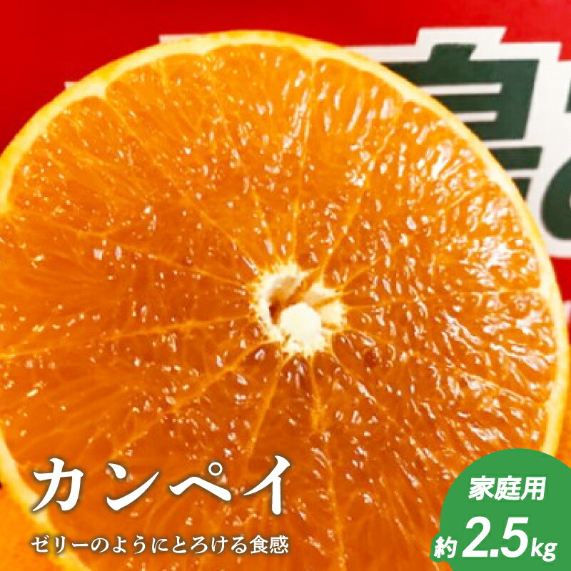【ふるさと納税】 【2026年2月上旬頃より順次発送】 甘平 約 2.5kg 【家庭用】 カンペイ みかん 柑橘 果物 フルーツ 松山市 愛媛県