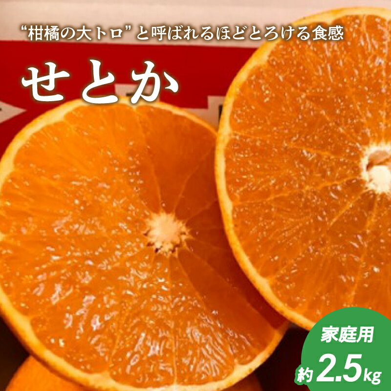 【ふるさと納税】 【2月下旬頃より発送】 せとか 約 2.5kg 家庭用 みかん せとか 柑橘 家庭用 みかん 1kg 以上 おすすめ 