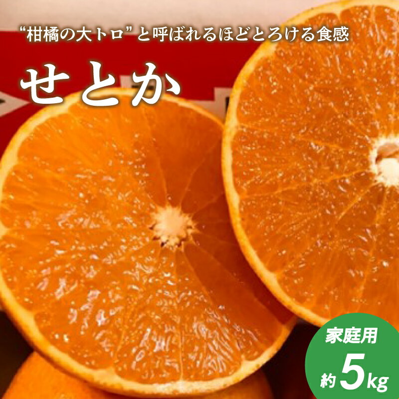 【ふるさと納税】 【2月下旬頃より発送】 先行予約 せとか 約 5kg 家庭用 みかん 柑橘 果物 フルーツ 松山市 愛媛県のサムネイル