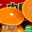 【ふるさと納税】 愛果28号〈家庭用 約2.5 kg〉先行予約|12月上旬より発送|紅まどんな同品種 高糖度みかん フルーツ ギフト 数量限定 愛媛県 松山市 田村農園