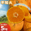 【ふるさと納税】 不知火 しらぬい 約5kg 訳あり 【2月下旬から順次発送】でこぽんと同品種 柑橘類 先行予約 フルーツ 柑橘類 先行予約 果物 フルーツ み...