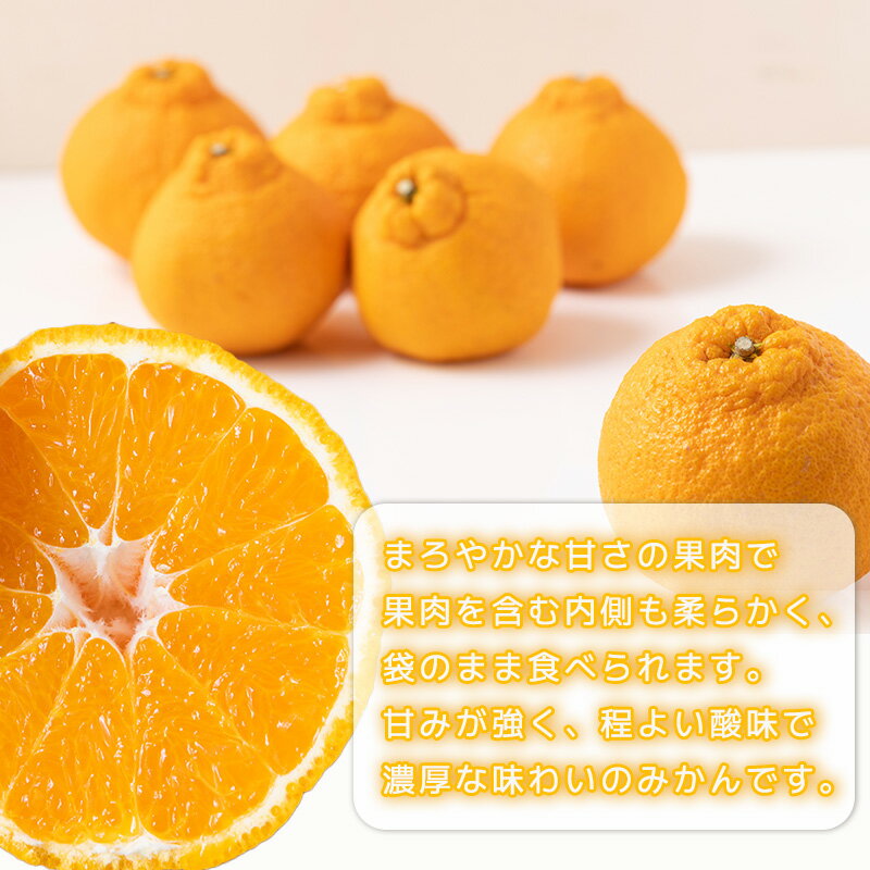 【ふるさと納税】 不知火 しらぬい 約5kg 家庭用 【2月下旬から順次発送】 でこぽんと同品種 柑橘類 先行予約 フルーツ 柑橘類 先行予約 果物 フルーツ みかん シラヌイ 人気 おすすめ 愛媛 松山 田中農園