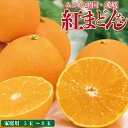 【ふるさと納税】 【先行予約】【2025年11月下旬以降順次発送】数量限定 紅まどんな 家庭用 〇等級 5玉~8玉 愛媛県産 ベニマドンナ べにまどんな みかん 柑橘 オレンジ フルーツ 果物 愛果28号 新鮮 愛媛県 松山市