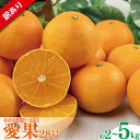 【ふるさと納税】 【先行予約】【2025年11月下旬以降順次発送】 訳あり みかん 愛果28号 約2kg または 約5kg あいか アイカ みかん 家庭用 紅まどんな 紅マドンナ と同品種 柑橘 果物 くだもの フルーツ みかん ミカン mikan mican 不揃い 傷 ワケアリ 訳アリ 愛媛県 松山市