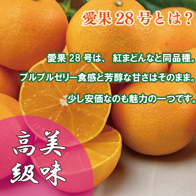 愛媛県松山市の画像2