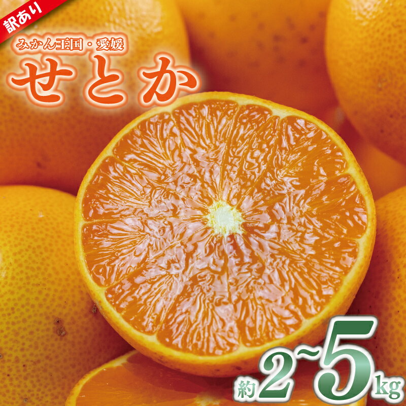 訳あり みかん せとか 約2kg または 約5kg | 家庭用 せとか セトカ 訳あり みかん 訳あり柑橘 柑橘 フルーツ 果物 くだもの デザート 果実 青果 国産 産地直送 松山 愛媛県