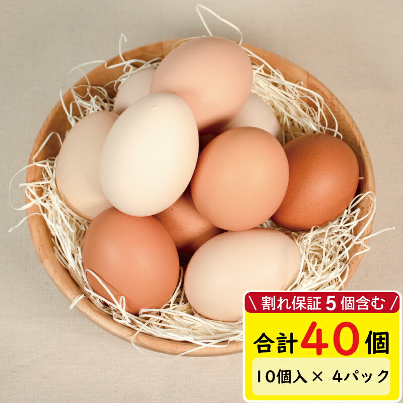 【ふるさと納税】 【発送月が選べる】2種の卵食べ比べセット 計 40 個 ( 10個×4パック ) みかんたまご と 純卵 じゅんたまご ※割れ保証5個 ( 卵 たまご タマゴ 玉子 卵料理 卵かけごはん TKG エッグ egg 卵 食べ比べ 小分け 愛媛県 松山市 )のサムネイル